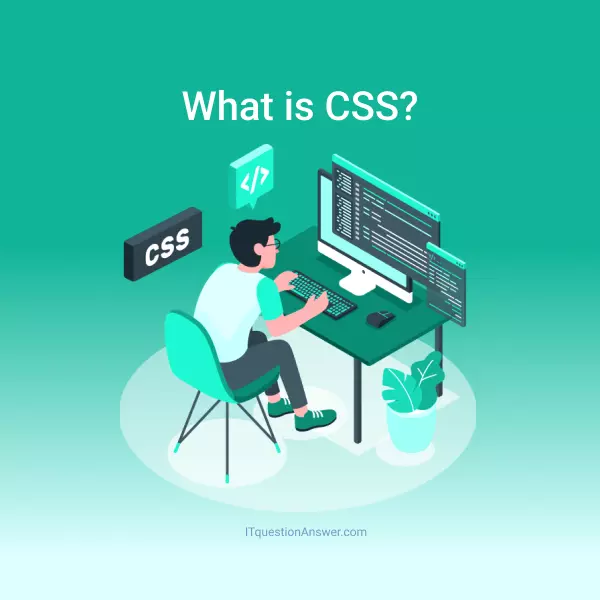 What is CSS ?